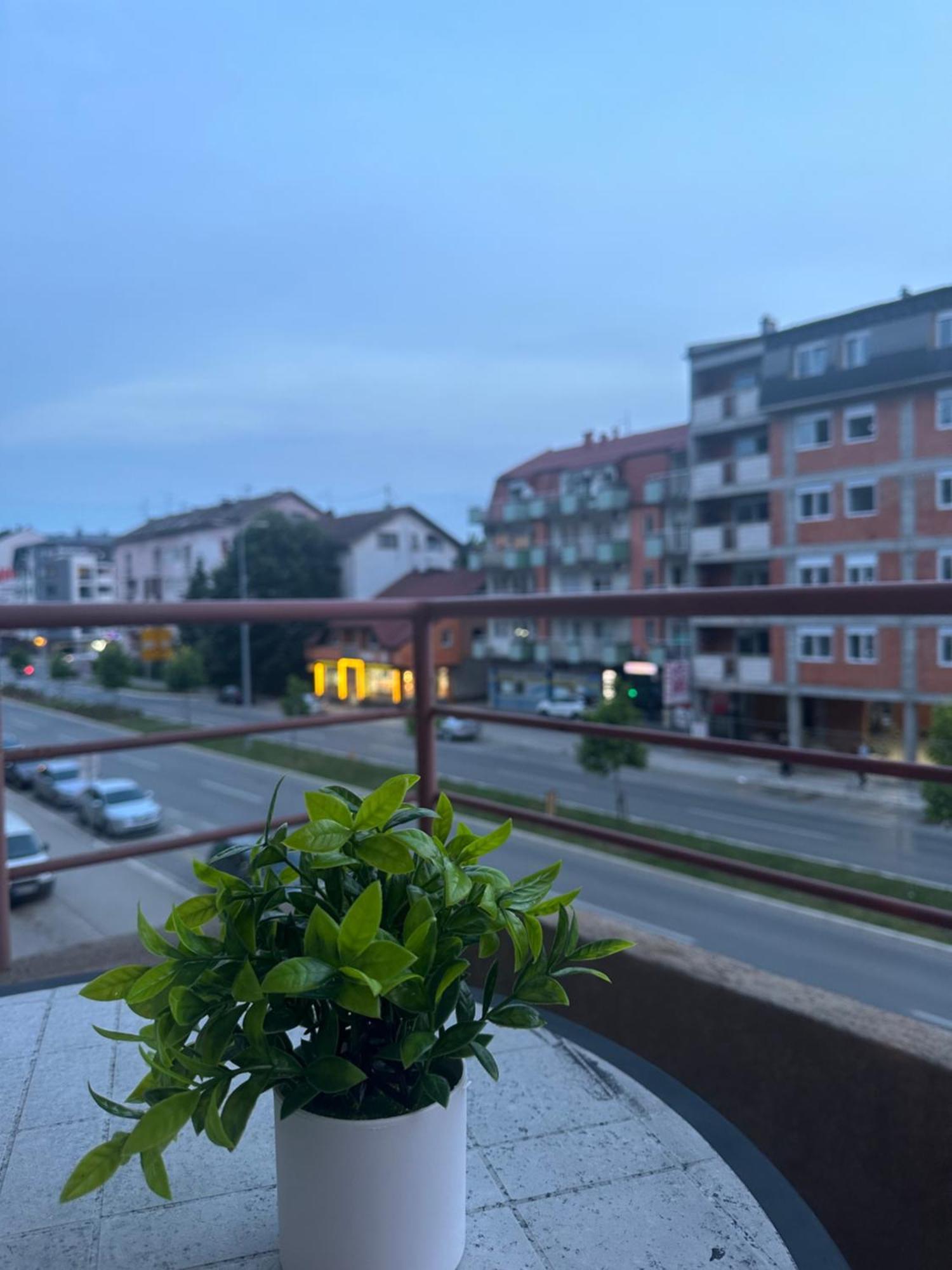 Carolija 2 * Brcko